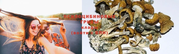ГАЛЛЮЦИНОГЕННЫЕ ГРИБЫ Абинск