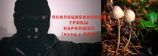 герыч Алексин