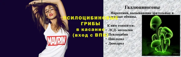 герыч Алексин