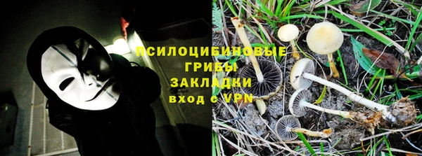PSILOCYBIN Алзамай