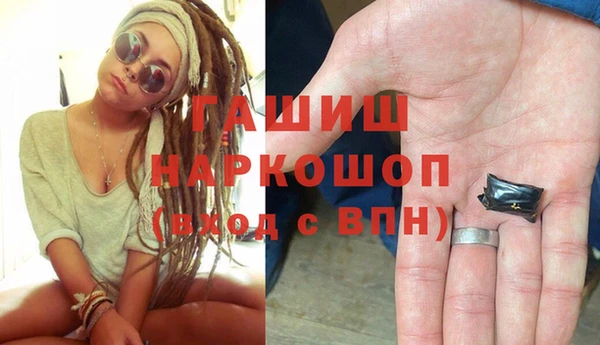 PSILOCYBIN Алзамай