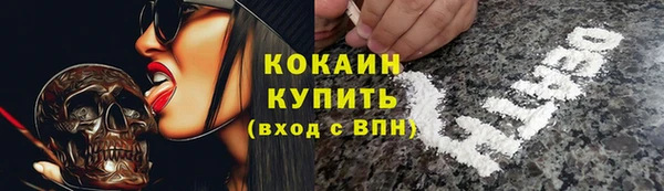 PSILOCYBIN Алзамай